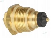 dlawica-vaillant-012124-vrh.jpg